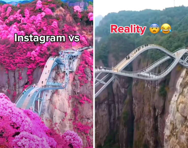 Expectations Set By Instagram, Crushed By Reality