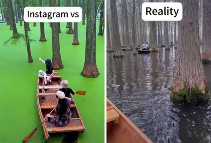 Expectations Set By Instagram, Crushed By Reality