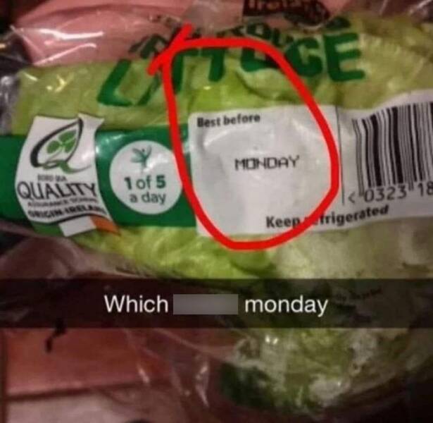 Funny Picdump Funny Picdump