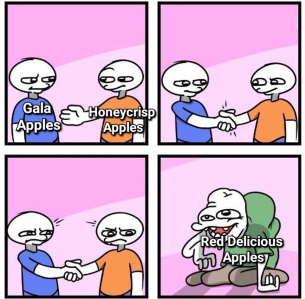 Funny Picdump Funny Picdump