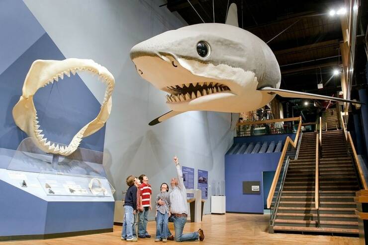 Morning Picdump Morning Picdump