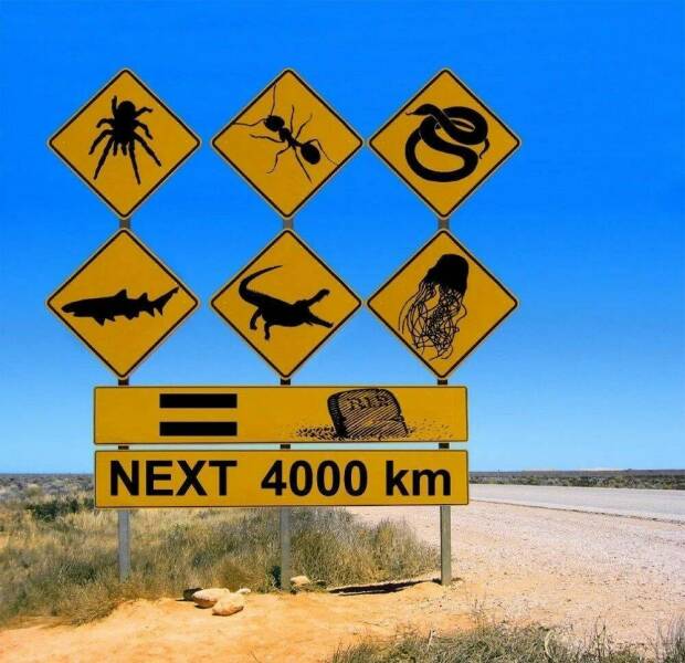 Morning Picdump Morning Picdump