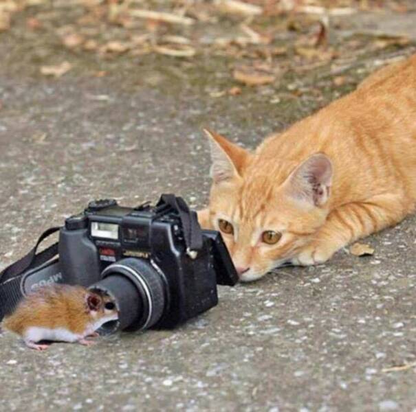 Morning Picdump Morning Picdump