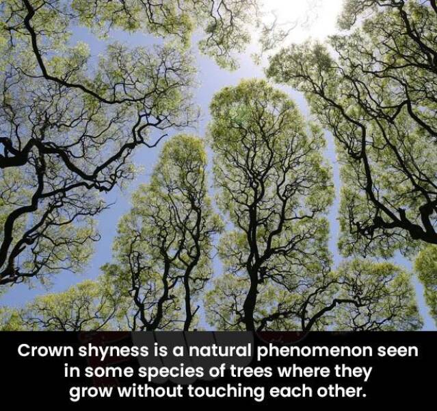 Morning Picdump Morning Picdump