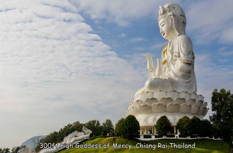 Morning Picdump Morning Picdump