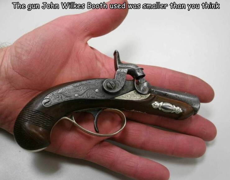 Morning Picdump Morning Picdump