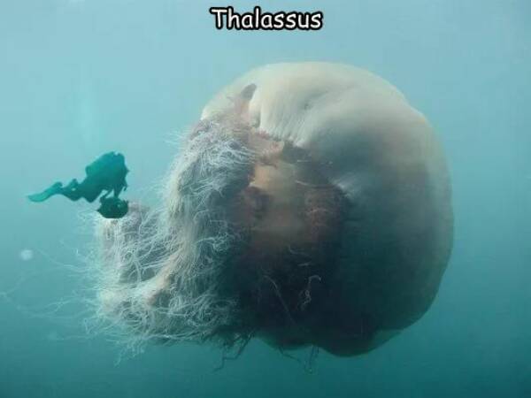 Morning Picdump Morning Picdump