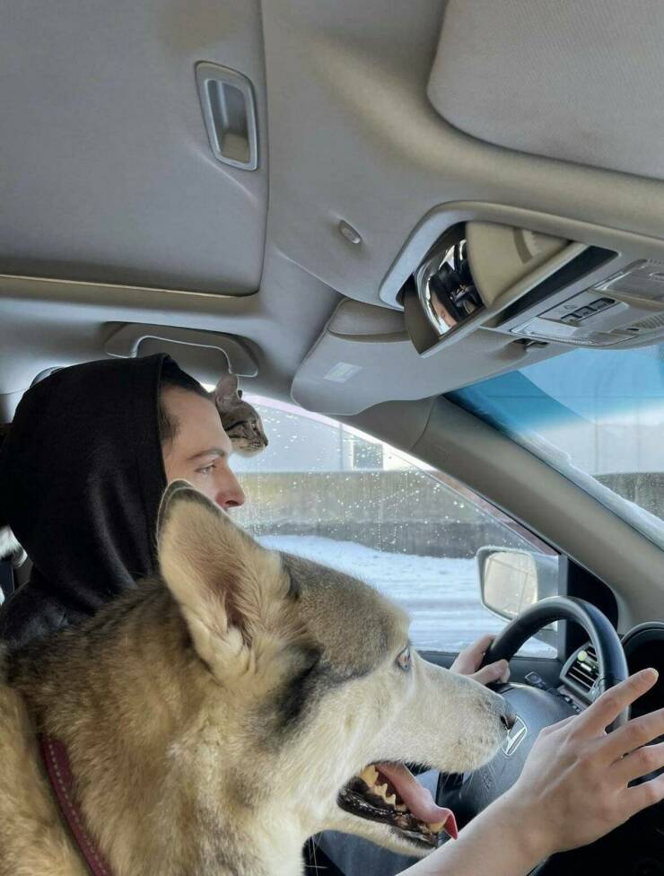 Morning Picdump Morning Picdump