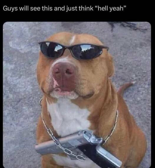 Morning Picdump Morning Picdump