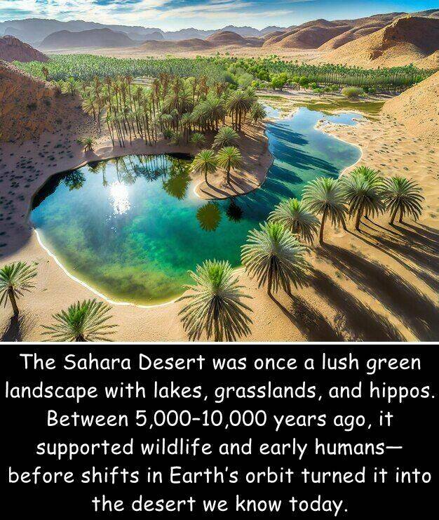 Morning Picdump Morning Picdump