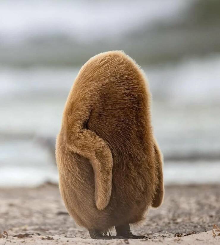 Morning Picdump Morning Picdump