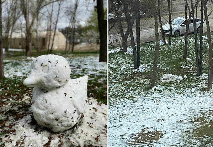 Proof That Common Courtesy Is Basically Extinct