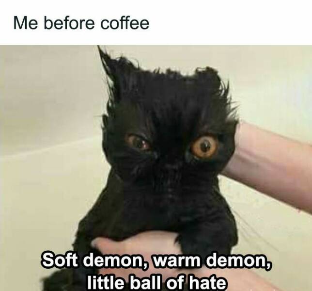 When Life Gives You Trauma, Make Memes