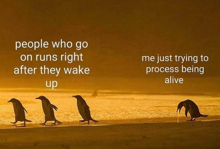 When Life Gives You Trauma, Make Memes