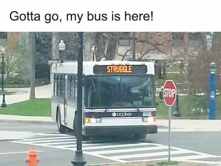 When Life Gives You Trauma, Make Memes