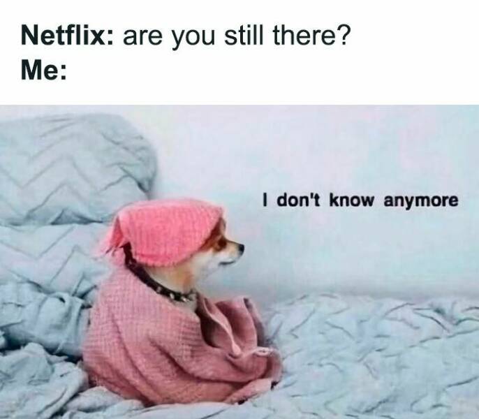 When Life Gives You Trauma, Make Memes