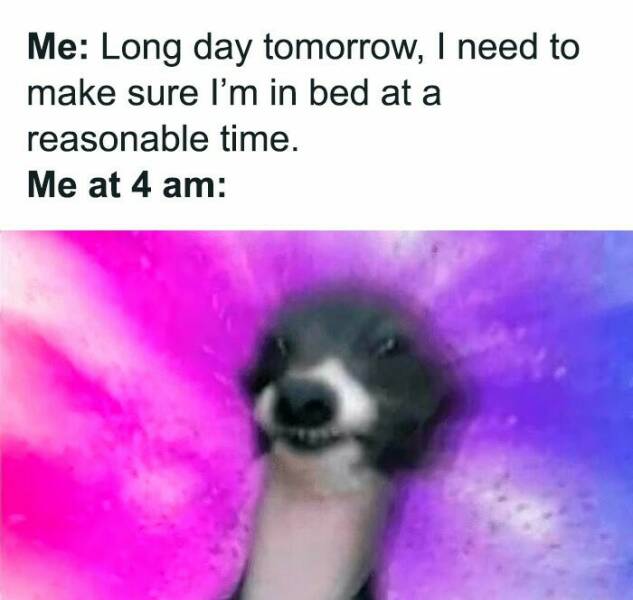 When Life Gives You Trauma, Make Memes When Life Gives You Trauma, Make Memes