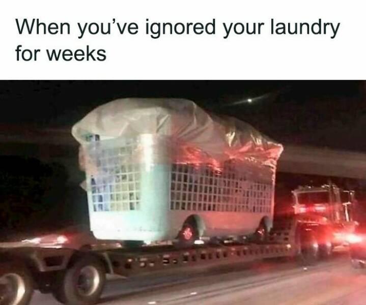 When Life Gives You Trauma, Make Memes When Life Gives You Trauma, Make Memes