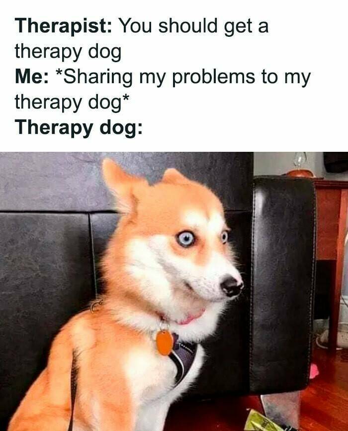 When Life Gives You Trauma, Make Memes