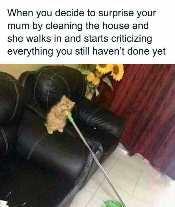 When Life Gives You Trauma, Make Memes When Life Gives You Trauma, Make Memes