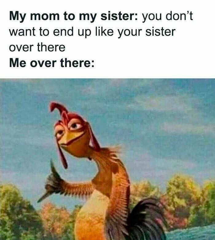 When Life Gives You Trauma, Make Memes When Life Gives You Trauma, Make Memes