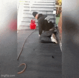 Daily Gifdump Daily Gifdump