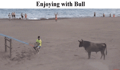 Daily Gifdump Daily Gifdump