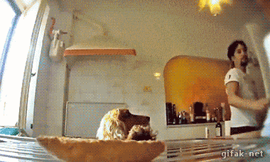 Daily Gifdump Daily Gifdump