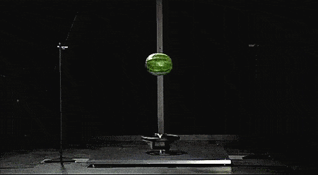 Daily Gifdump Daily Gifdump