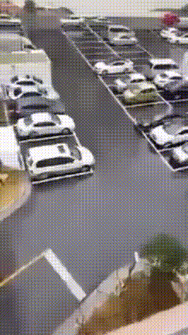 Daily Gifdump Daily Gifdump