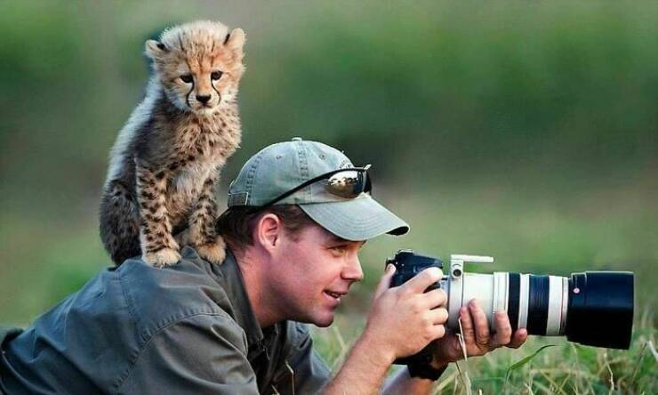 Hilarious Animal Interruptions During Serious Wildlife Photo Shoots