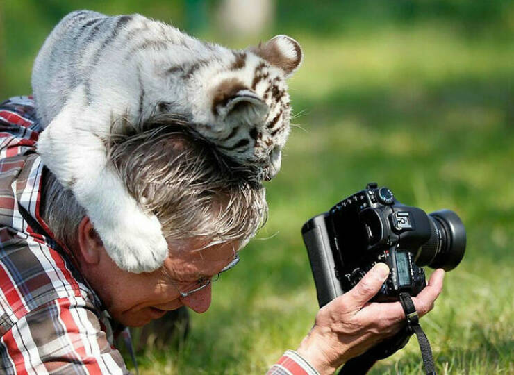 Hilarious Animal Interruptions During Serious Wildlife Photo Shoots