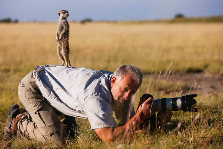 Hilarious Animal Interruptions During Serious Wildlife Photo Shoots