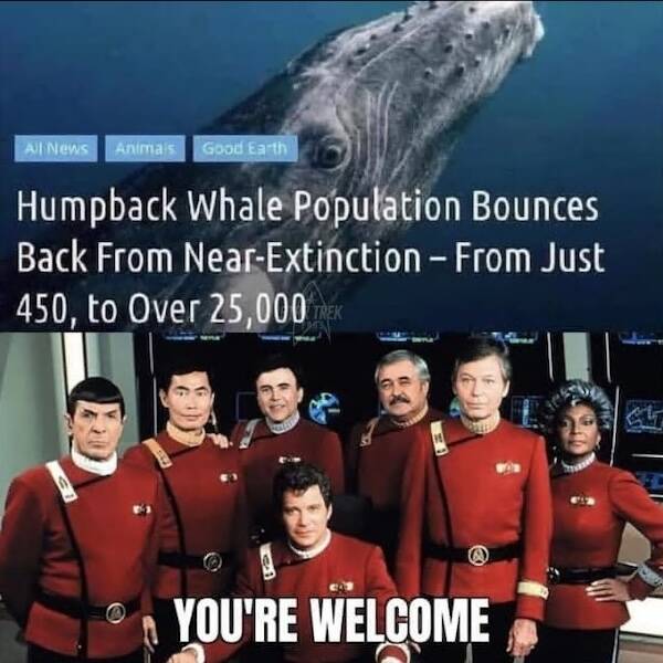 Hilarious Geek Memes To Decorate Your Nerd Den