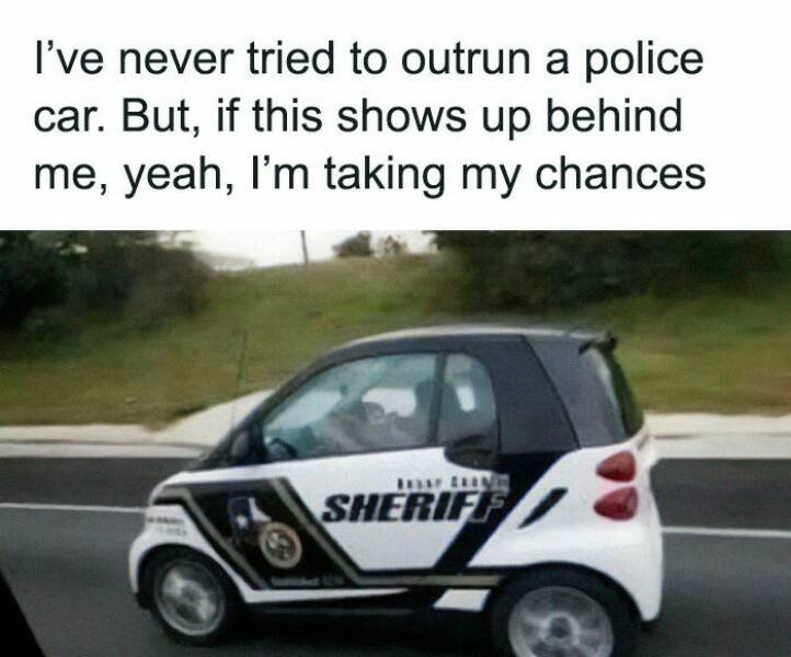 Honk If These Driving Memes Feel Too Real