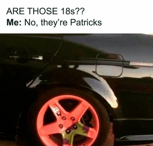 Honk If These Driving Memes Feel Too Real