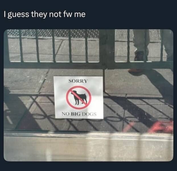 Relationship Wisdom, One Meme At A Time