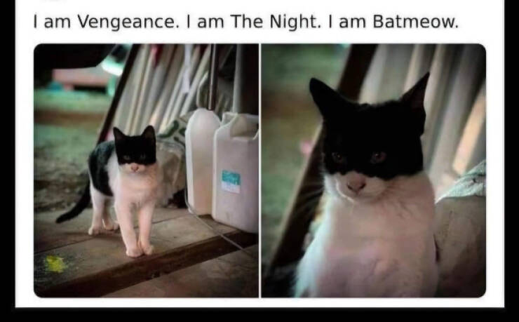 You Laugh, You Lose! Wanna Play?