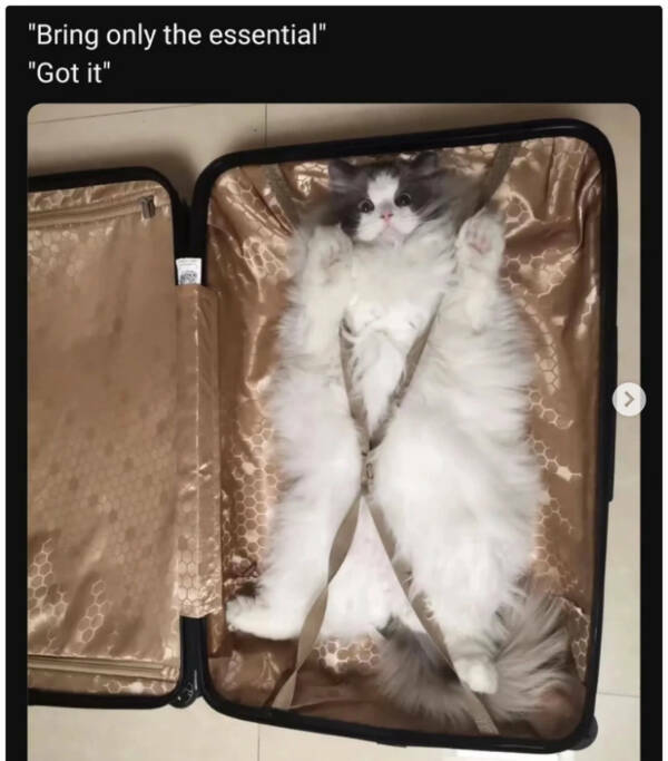 You Laugh, You Lose! Wanna Play?