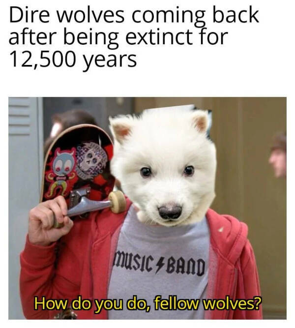 You Laugh, You Lose! Wanna Play?