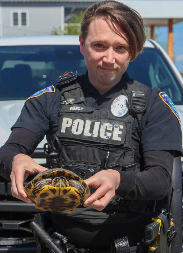 Hot New Look? Try Again.