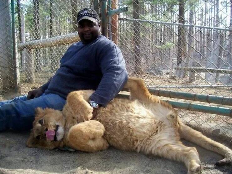 Daily Picdump Daily Picdump