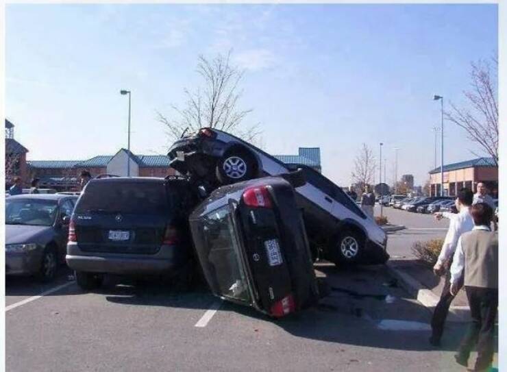 Daily Picdump Daily Picdump