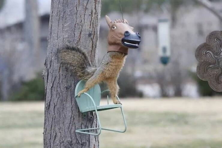 Daily Picdump Daily Picdump