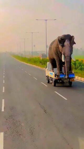 Daily Picdump Daily Picdump