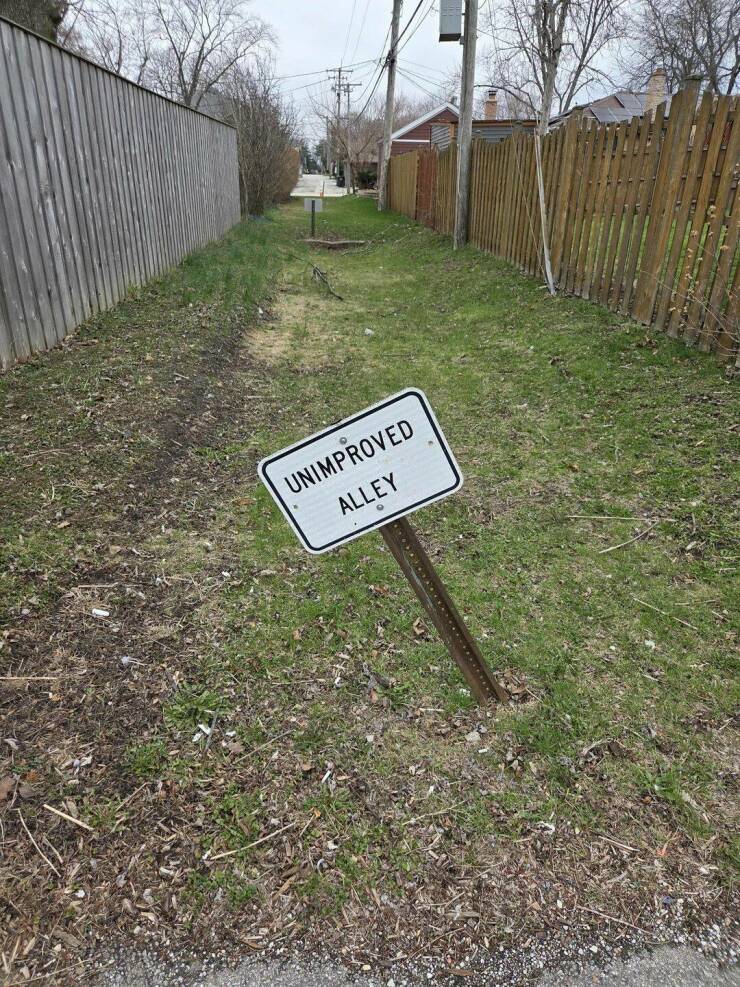 Daily Picdump Daily Picdump