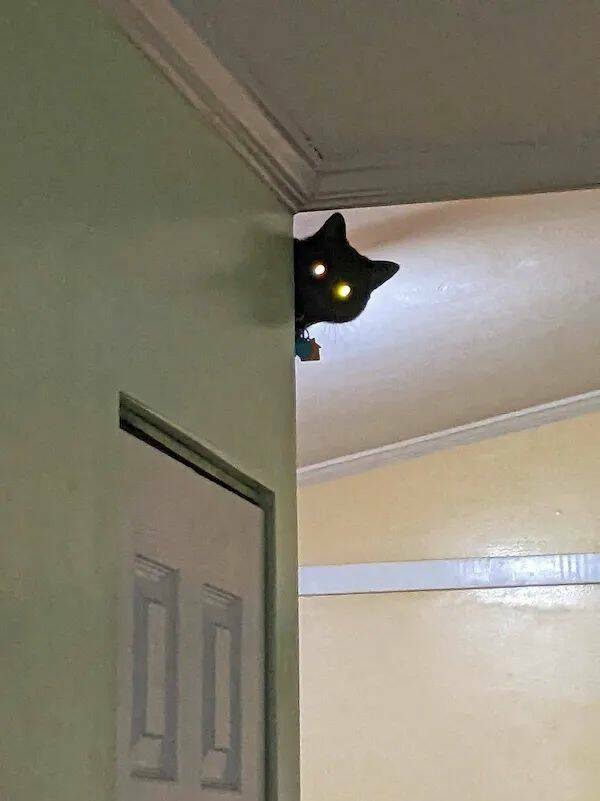 Daily Picdump Daily Picdump