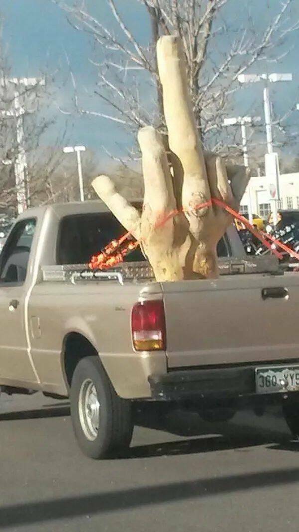 Daily Picdump Daily Picdump