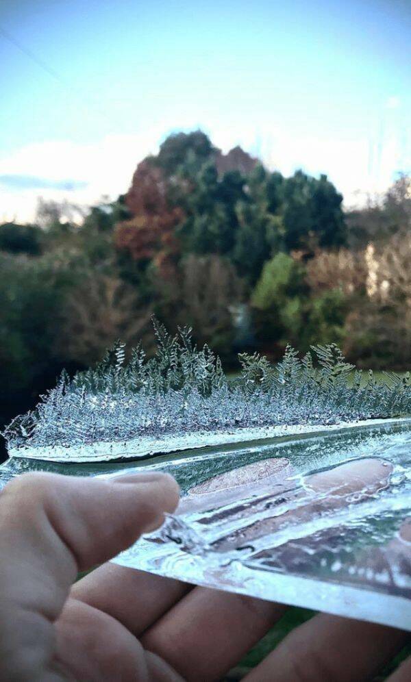 Daily Picdump Daily Picdump