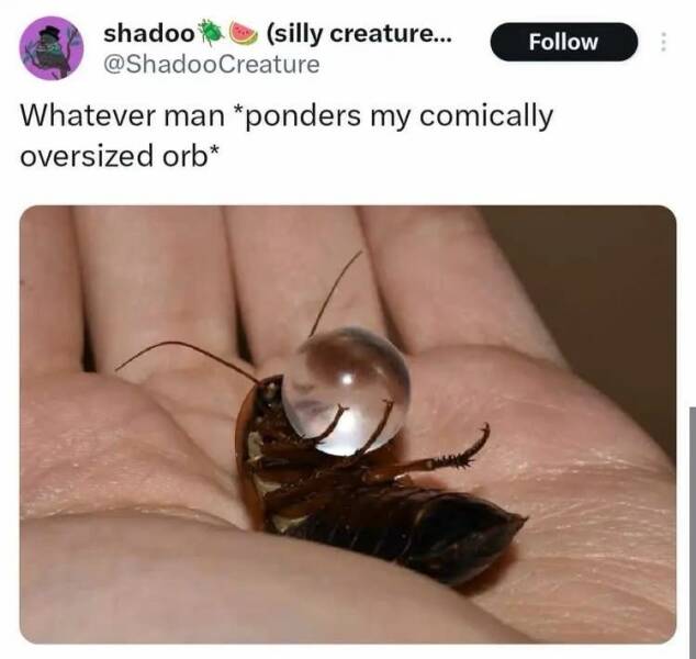 Funny Picdump Funny Picdump